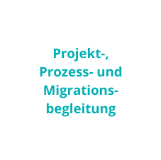 Projekt-, Prozess- und Migrationsbegleitung
