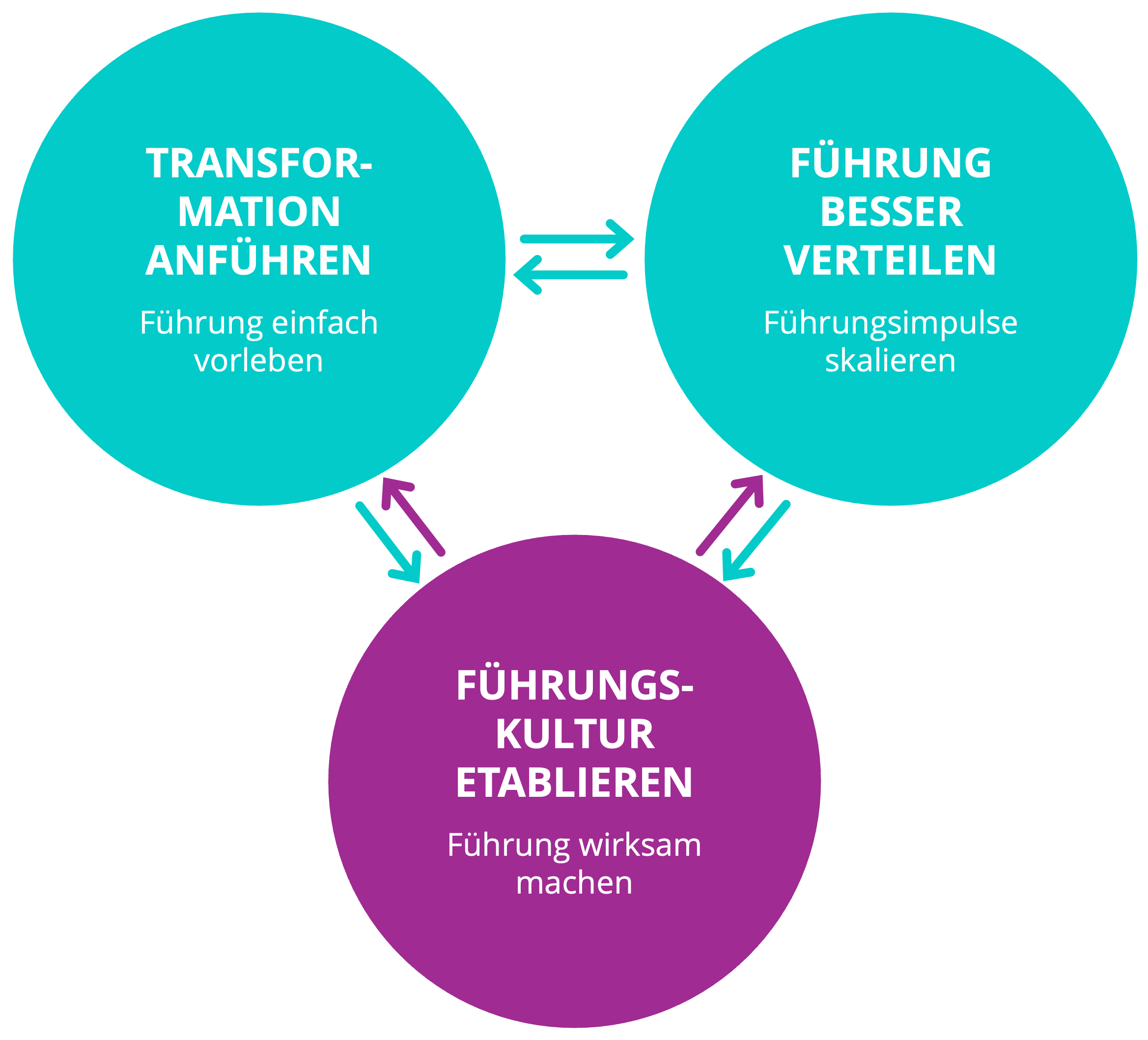 Ein Diagramm mit drei Kreisen, die durch Pfeile verbunden sind. Die Kreise sind beschriftet mit 'Transformation Anführen', 'Führung Besser Verteilen' und 'Führungs-Kultur Etablieren'.