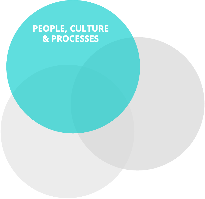 Überschneidende Kreise mit Beschriftungen: 'People, Culture & Processes'