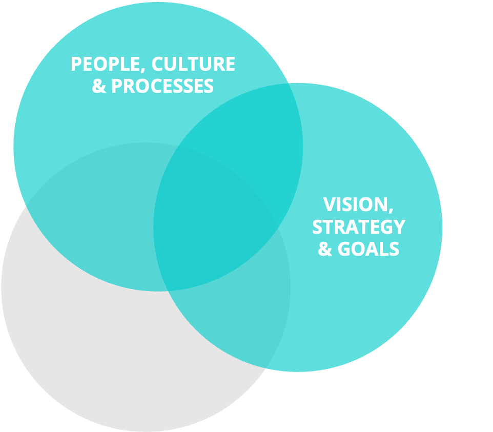 Venn-Diagramm mit drei Kreisen: 'People, Culture & Processes', 'Vision, Strategy & Goals', und ein grauer Kreis, der teilweise überlappt, ohne Beschriftung.