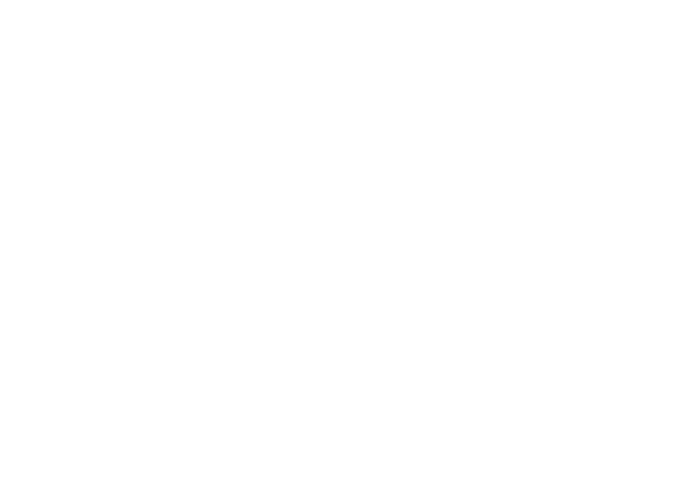 Schwarz IT