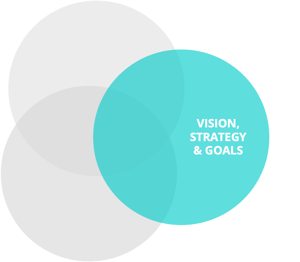Ein Venn-Diagramm mit zwei überlappenden Kreisen. Der rechte Kreis ist blau und trägt den Text "VISION, STRATEGY & GOALS". Der linke Kreis ist grau und hat keinen sichtbaren Text.